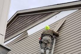 Best Historical Building Siding Restoration  in Bridgeport, OH